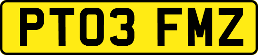 PT03FMZ