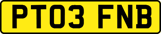 PT03FNB