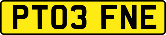 PT03FNE