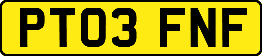 PT03FNF