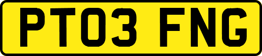 PT03FNG
