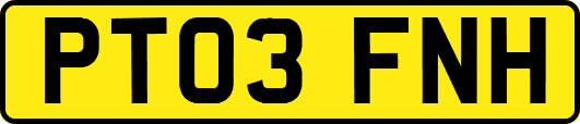 PT03FNH
