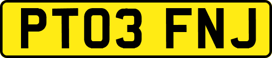 PT03FNJ