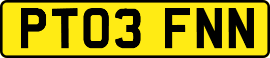 PT03FNN