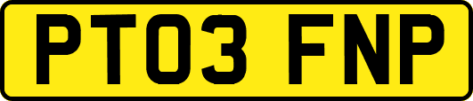 PT03FNP