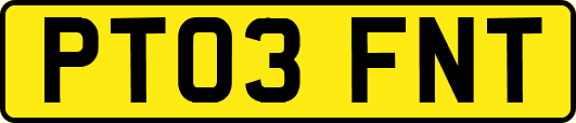 PT03FNT