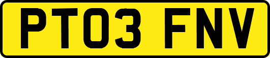 PT03FNV