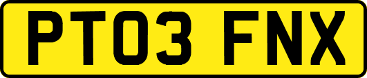 PT03FNX