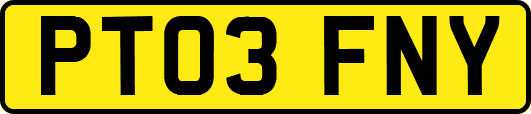 PT03FNY