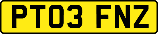 PT03FNZ
