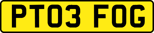 PT03FOG
