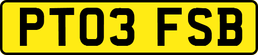 PT03FSB