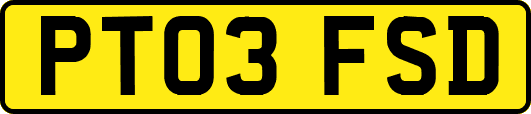 PT03FSD