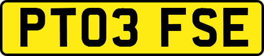 PT03FSE