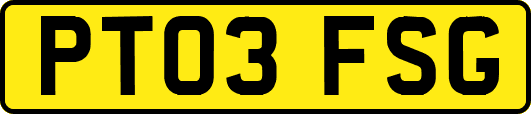 PT03FSG