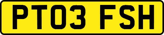 PT03FSH