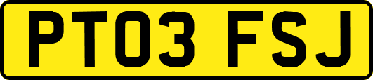 PT03FSJ