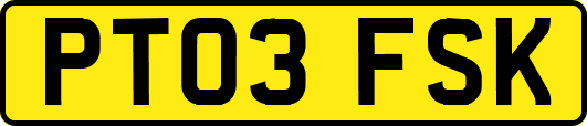 PT03FSK
