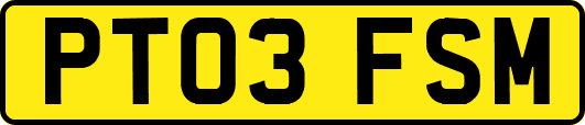 PT03FSM