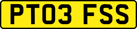 PT03FSS