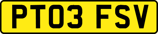 PT03FSV