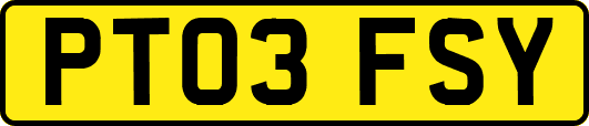 PT03FSY
