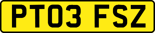 PT03FSZ