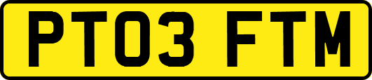 PT03FTM