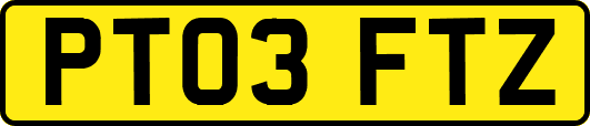 PT03FTZ