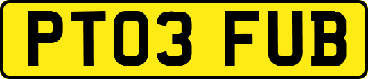 PT03FUB