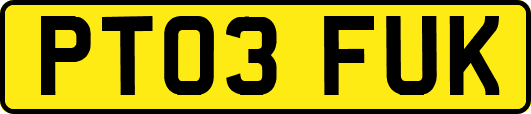 PT03FUK