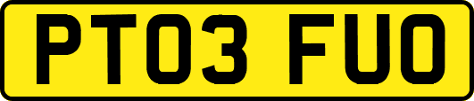 PT03FUO