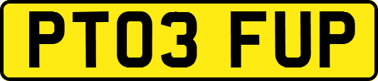 PT03FUP