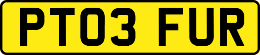 PT03FUR