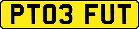 PT03FUT