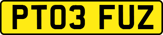 PT03FUZ