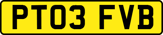 PT03FVB
