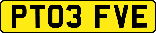 PT03FVE