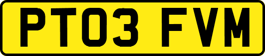 PT03FVM