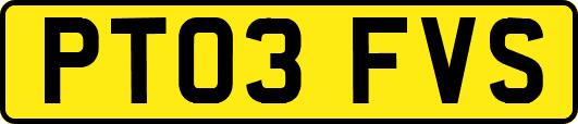 PT03FVS