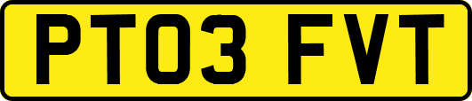 PT03FVT