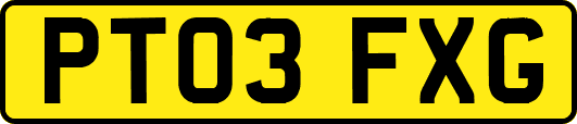 PT03FXG