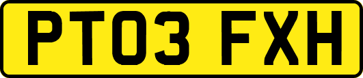 PT03FXH