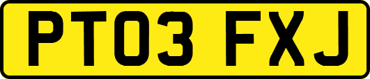 PT03FXJ