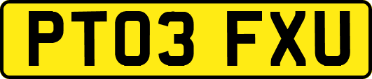 PT03FXU