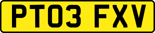 PT03FXV