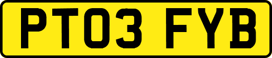 PT03FYB