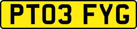 PT03FYG