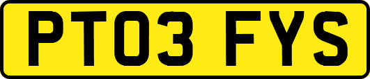 PT03FYS