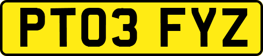PT03FYZ